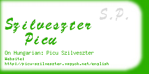 szilveszter picu business card